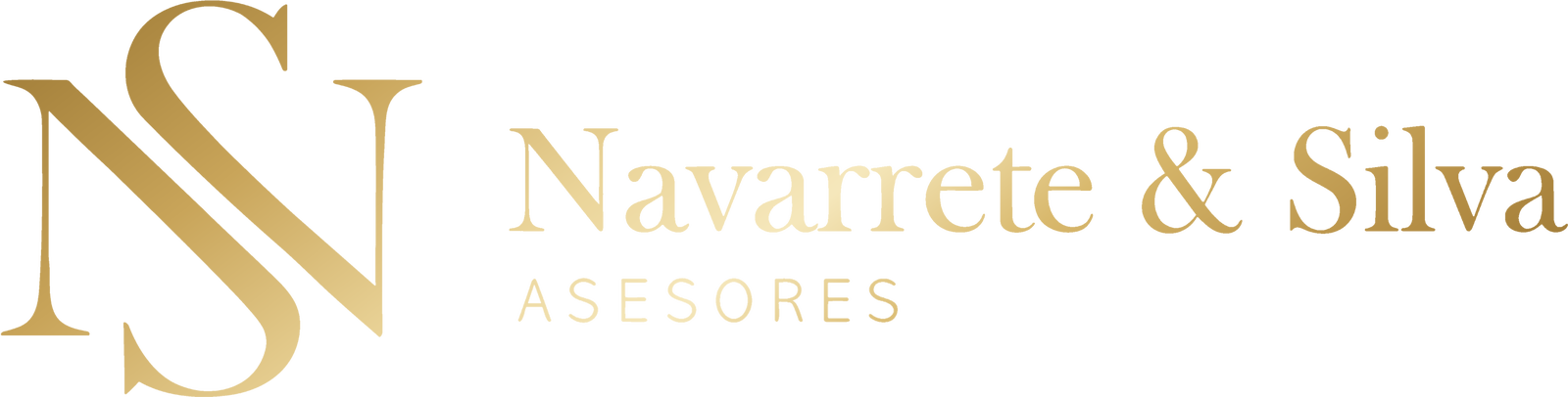 Navarrete & Silva Asesores